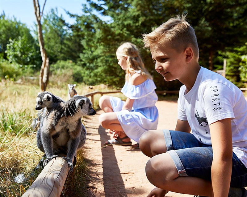 Givskud Zoo