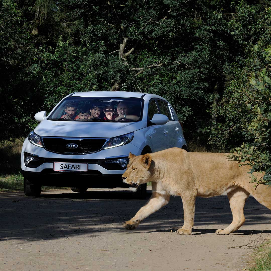 Reiser til Givskud Zoo