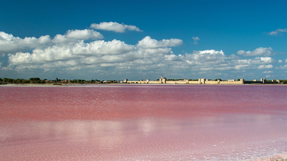 Camargue