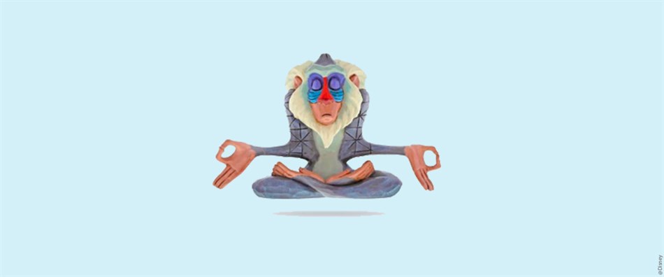Rafiki Bl Zengaranti Stor Web