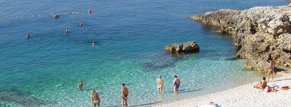 Pula_950x350_top
