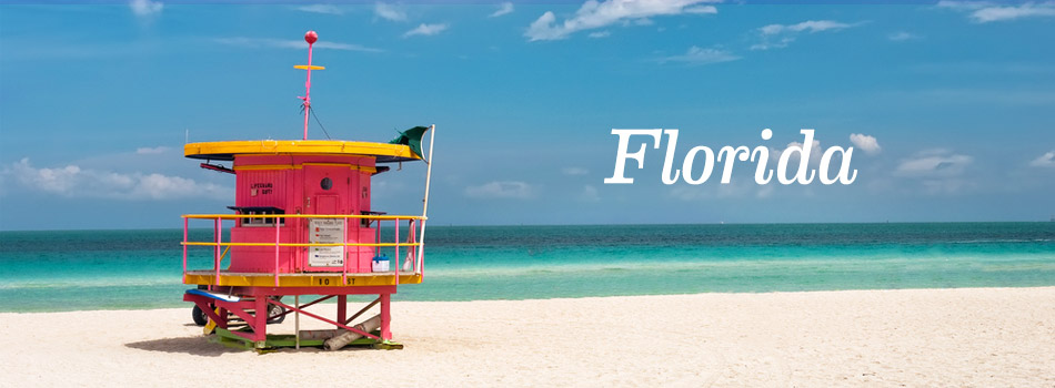 florida_950x350_sembo_top